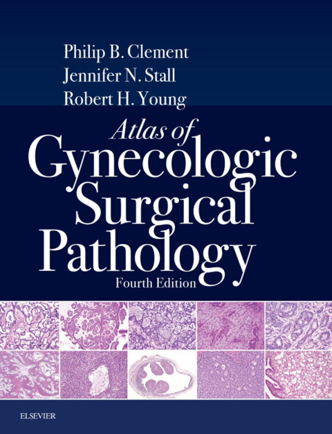 Atlas of Gynecologic Surgical Pathology 4th editionに寺崎美佳先生